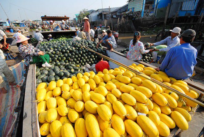 Chợ nổi Cái Bè Tiền Giang